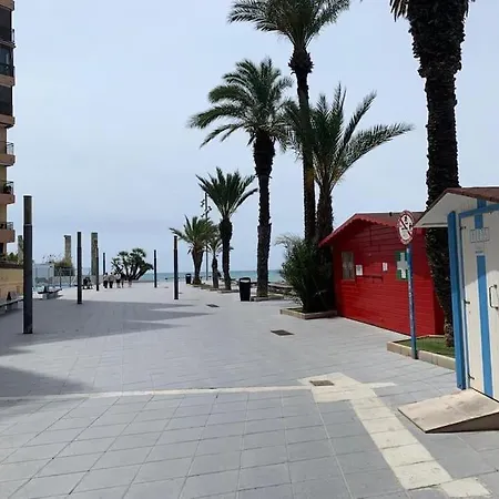 Daire Parada Torrevieja